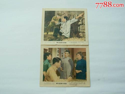 做个假加蓬护照